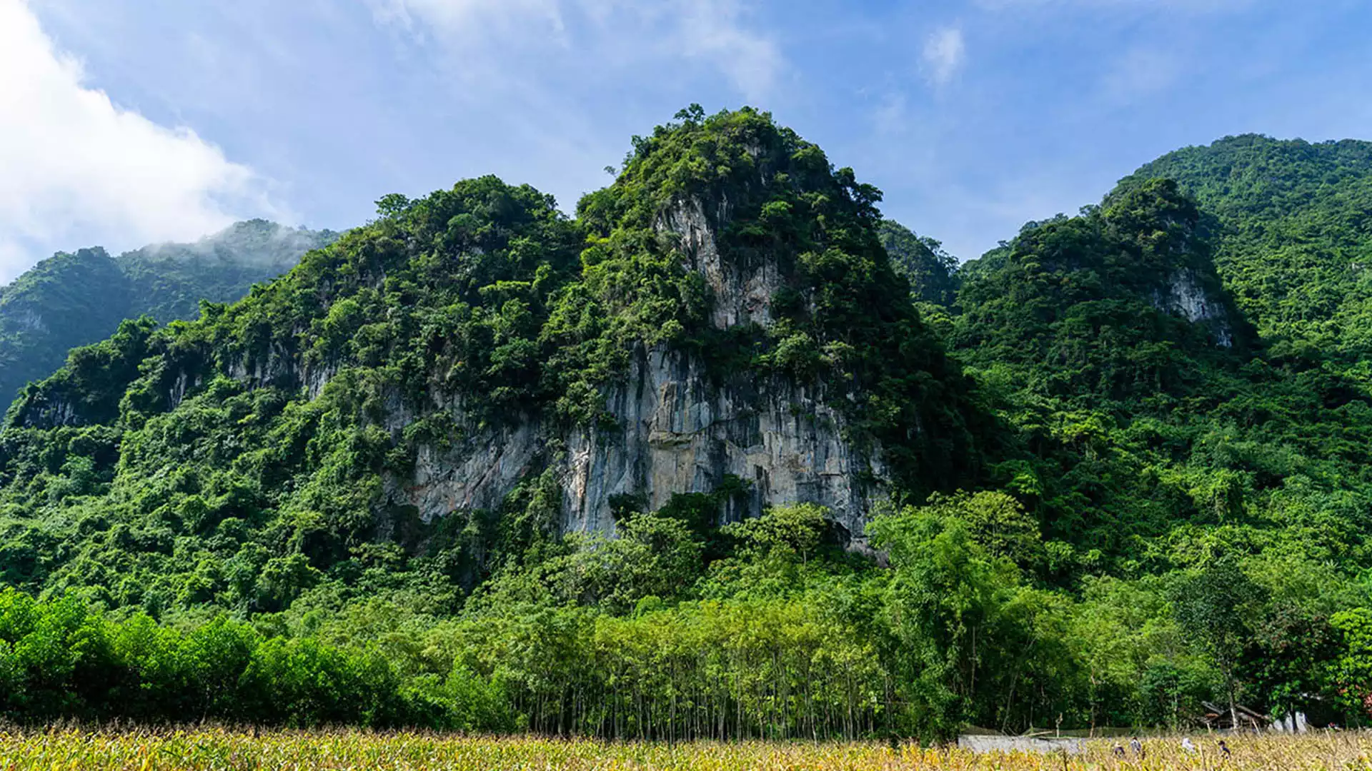 Tạo chuyển biến trong khâu đột phá ở Võ Nhai