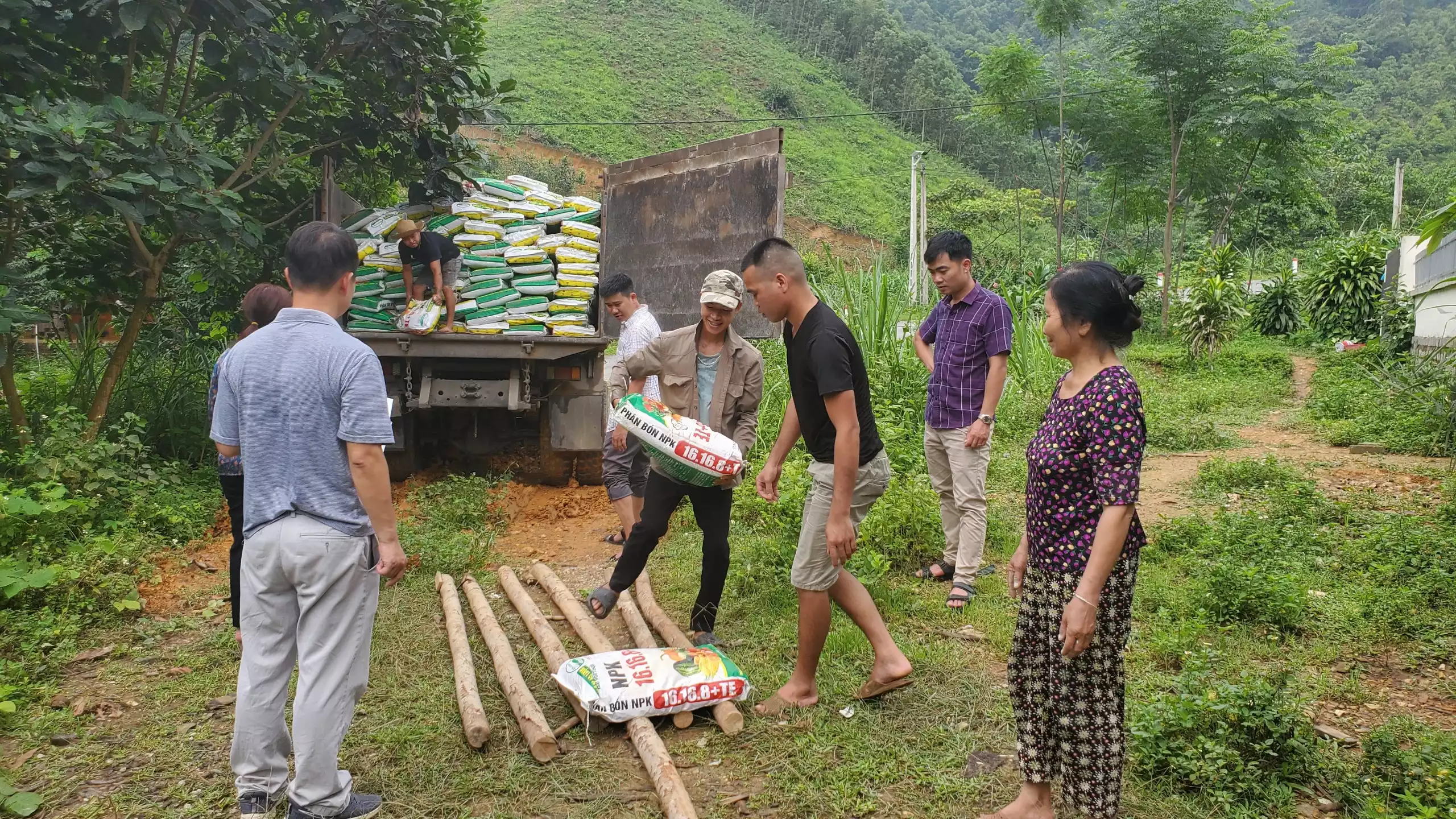 Hỗ trợ giống, vật tư thực hiện mô hình trồng cây dược liệu Ba kích tím năm 2022