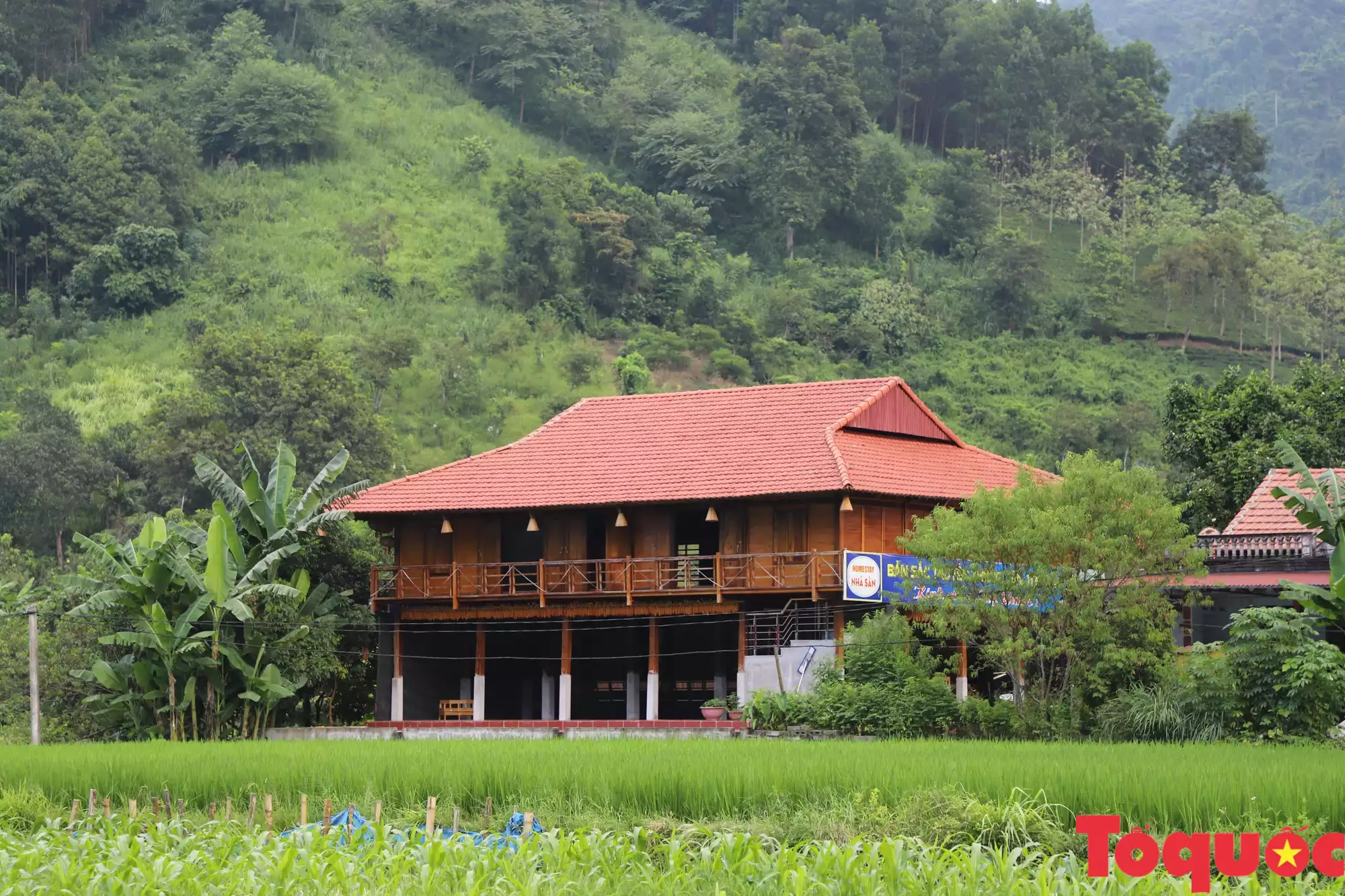 Võ Nhai: Phát triển nông nghiệp gắn với du lịch