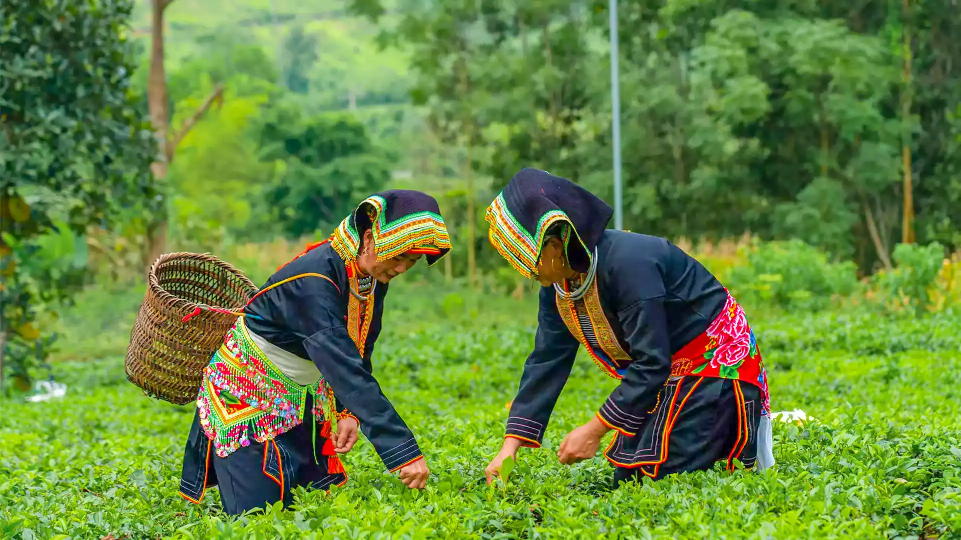 Top 4 địa điểm du lịch thu hút nhất tại huyện Võ Nhai - tỉnh Thái Nguyên